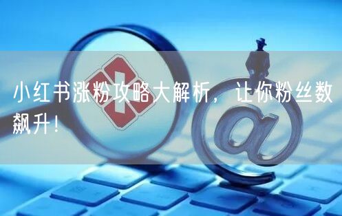 小红书涨粉攻略大解析，让你粉丝数飙升！
