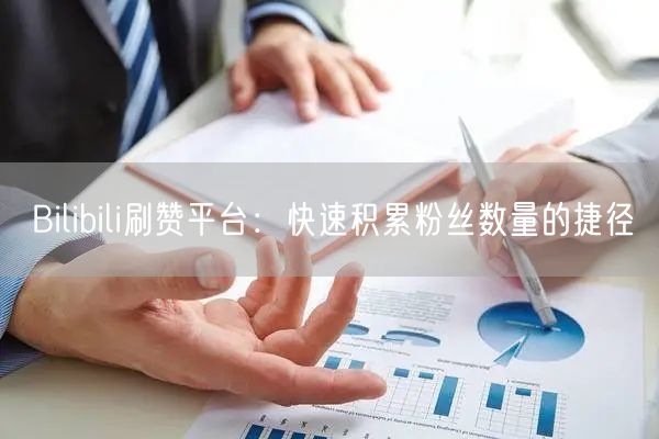 Bilibili刷赞平台：快速积累粉丝数量的捷径