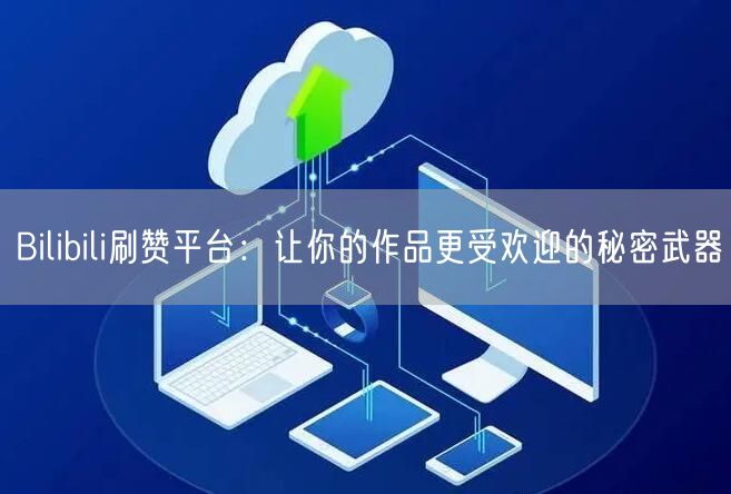 Bilibili刷赞平台：让你的作品更受欢迎的秘密武器