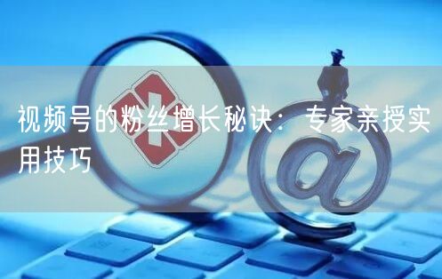 视频号的粉丝增长秘诀：专家亲授实用技巧