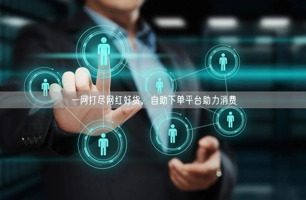 一网打尽网红好货，自助下单平台助力消费