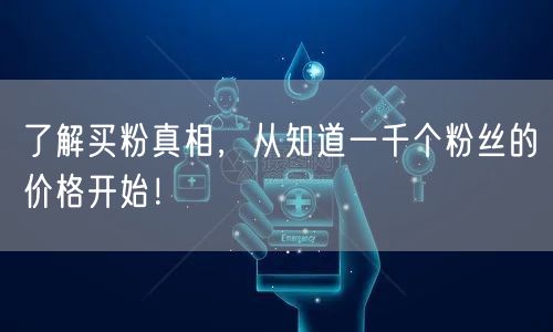 了解买粉真相，从知道一千个粉丝的价格开始！