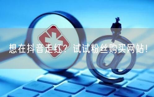 想在抖音走红？试试粉丝购买网站！