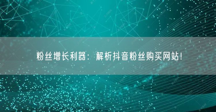 粉丝增长利器：解析抖音粉丝购买网站！
