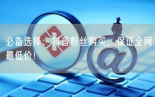 必备选择：抖音粉丝购买，保证全网最低价！
