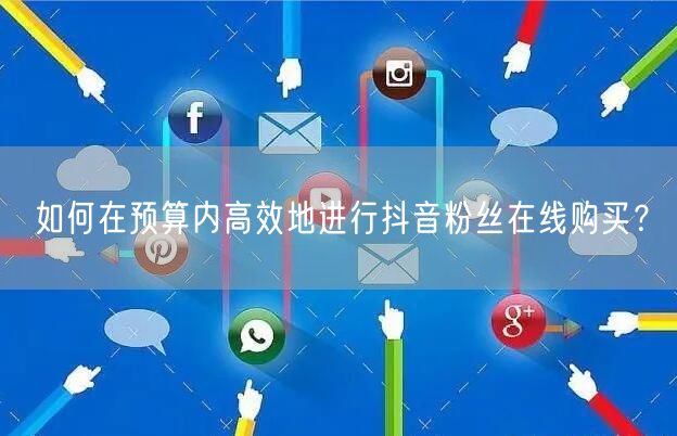 如何在预算内高效地进行抖音粉丝在线购买？