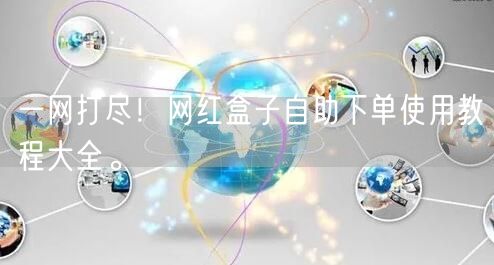 一网打尽！网红盒子自助下单使用教程大全。