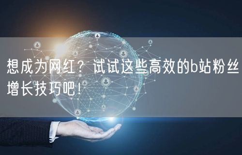 想成为网红？试试这些高效的b站粉丝增长技巧吧！