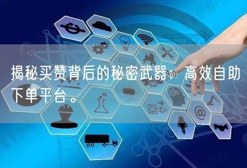 揭秘买赞背后的秘密武器：高效自助下单平台。