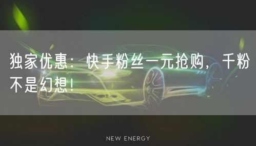 独家优惠：快手粉丝一元抢购，千粉不是幻想！