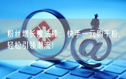 粉丝增长魔法棒：快手一元购千粉，轻松引领潮流！