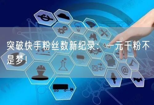 突破快手粉丝数新纪录：一元千粉不是梦！