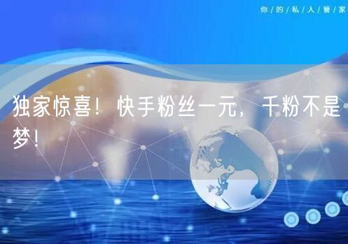 独家惊喜！快手粉丝一元，千粉不是梦！