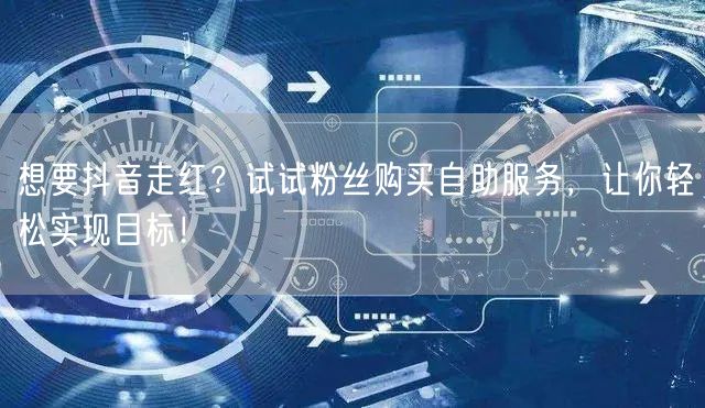 想要抖音走红？试试粉丝购买自助服务，让你轻松实现目标！