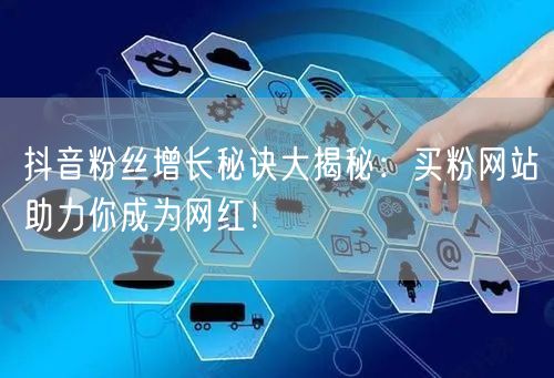 抖音粉丝增长秘诀大揭秘：买粉网站助力你成为网红！