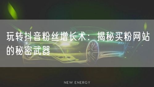 玩转抖音粉丝增长术：揭秘买粉网站的秘密武器