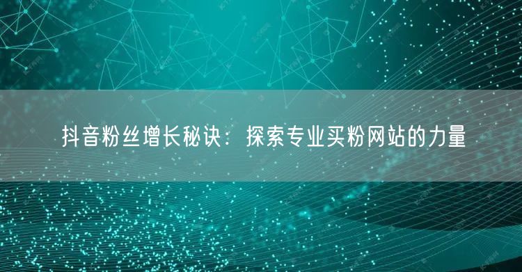 抖音粉丝增长秘诀：探索专业买粉网站的力量