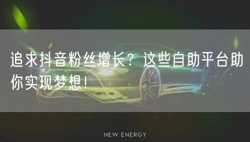 追求抖音粉丝增长？这些自助平台助你实现梦想！