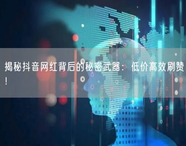揭秘抖音网红背后的秘密武器：低价高效刷赞！