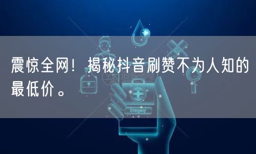 震惊全网！揭秘抖音刷赞不为人知的最低价。