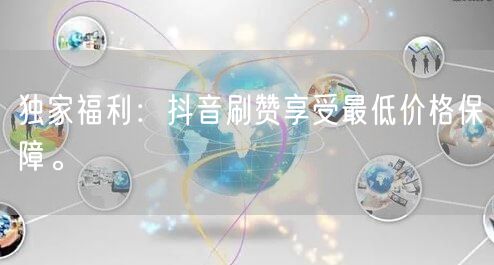 独家福利：抖音刷赞享受最低价格保障。