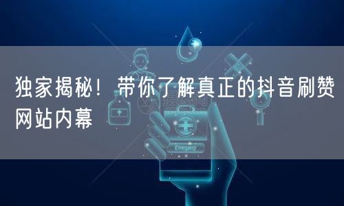 独家揭秘！带你了解真正的抖音刷赞网站内幕