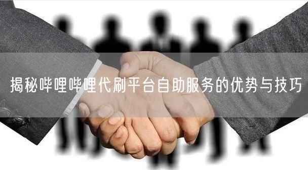 揭秘哔哩哔哩代刷平台自助服务的优势与技巧
