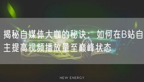 揭秘自媒体大咖的秘诀：如何在B站自主提高视频播放量至巅峰状态
