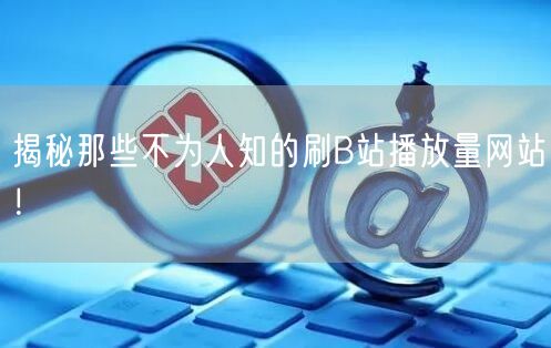 揭秘那些不为人知的刷B站播放量网站！