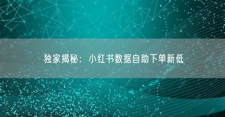 独家揭秘：小红书数据自助下单新低