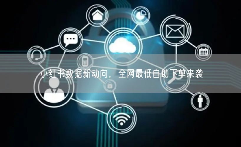 小红书数据新动向，全网最低自助下单来袭