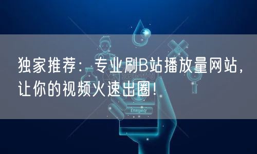 独家推荐：专业刷B站播放量网站，让你的视频火速出圈！