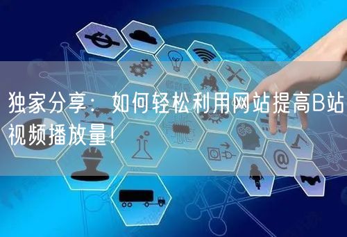 独家分享：如何轻松利用网站提高B站视频播放量！
