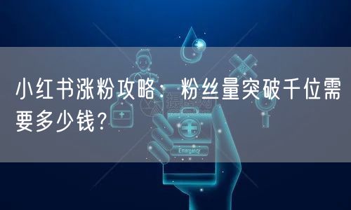 小红书涨粉攻略：粉丝量突破千位需要多少钱？