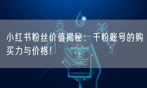 小红书粉丝价值揭秘：千粉账号的购买力与价格！