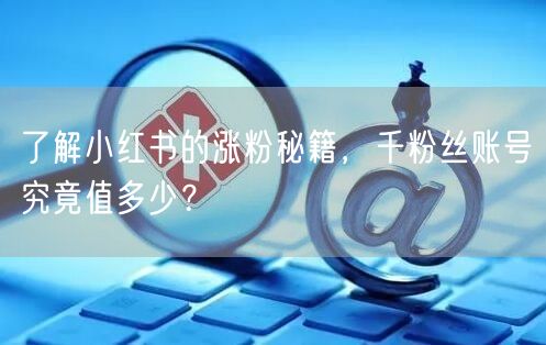 了解小红书的涨粉秘籍，千粉丝账号究竟值多少？