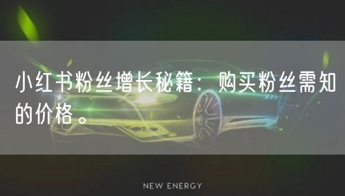 小红书粉丝增长秘籍：购买粉丝需知的价格。