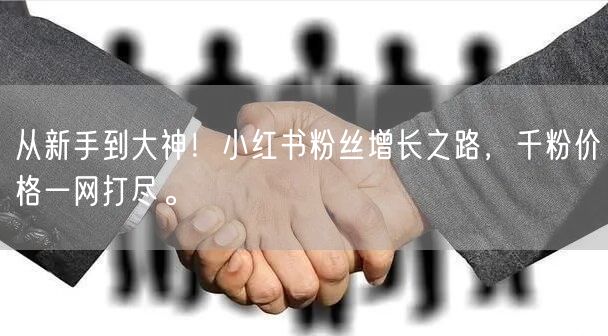 从新手到大神！小红书粉丝增长之路，千粉价格一网打尽。