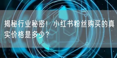 揭秘行业秘密！小红书粉丝购买的真实价格是多少？