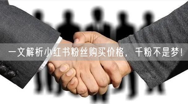 一文解析小红书粉丝购买价格，千粉不是梦！