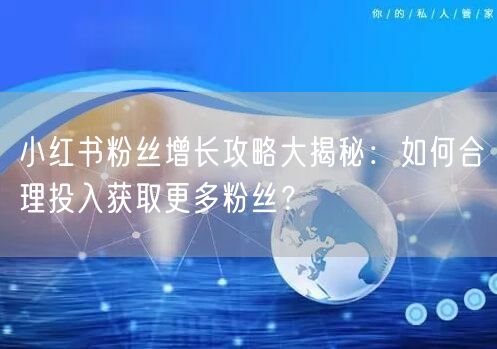 小红书粉丝增长攻略大揭秘：如何合理投入获取更多粉丝？