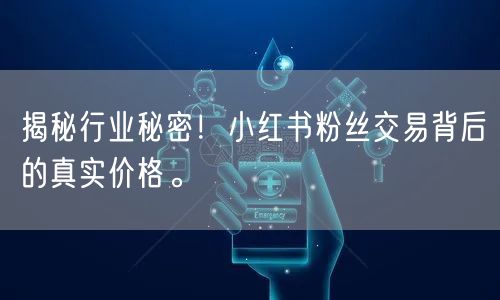 揭秘行业秘密！小红书粉丝交易背后的真实价格。