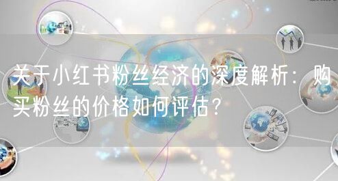 关于小红书粉丝经济的深度解析：购买粉丝的价格如何评估？