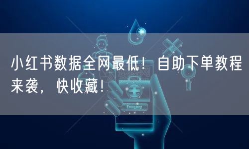 小红书数据全网最低！自助下单教程来袭，快收藏！
