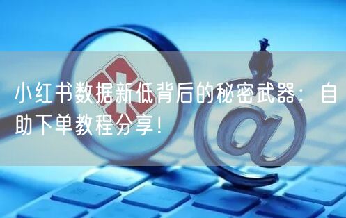 小红书数据新低背后的秘密武器：自助下单教程分享！