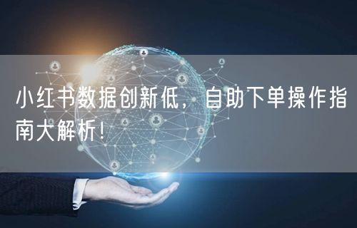 小红书数据创新低，自助下单操作指南大解析！