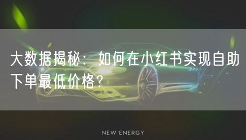 大数据揭秘：如何在小红书实现自助下单最低价格？