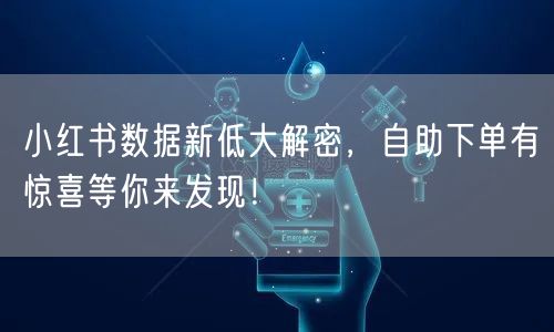 小红书数据新低大解密，自助下单有惊喜等你来发现！