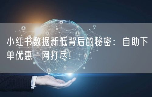 小红书数据新低背后的秘密：自助下单优惠一网打尽！