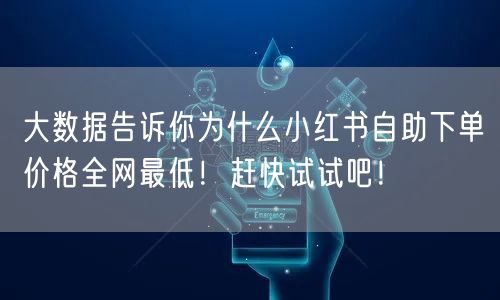 大数据告诉你为什么小红书自助下单价格全网最低！赶快试试吧！